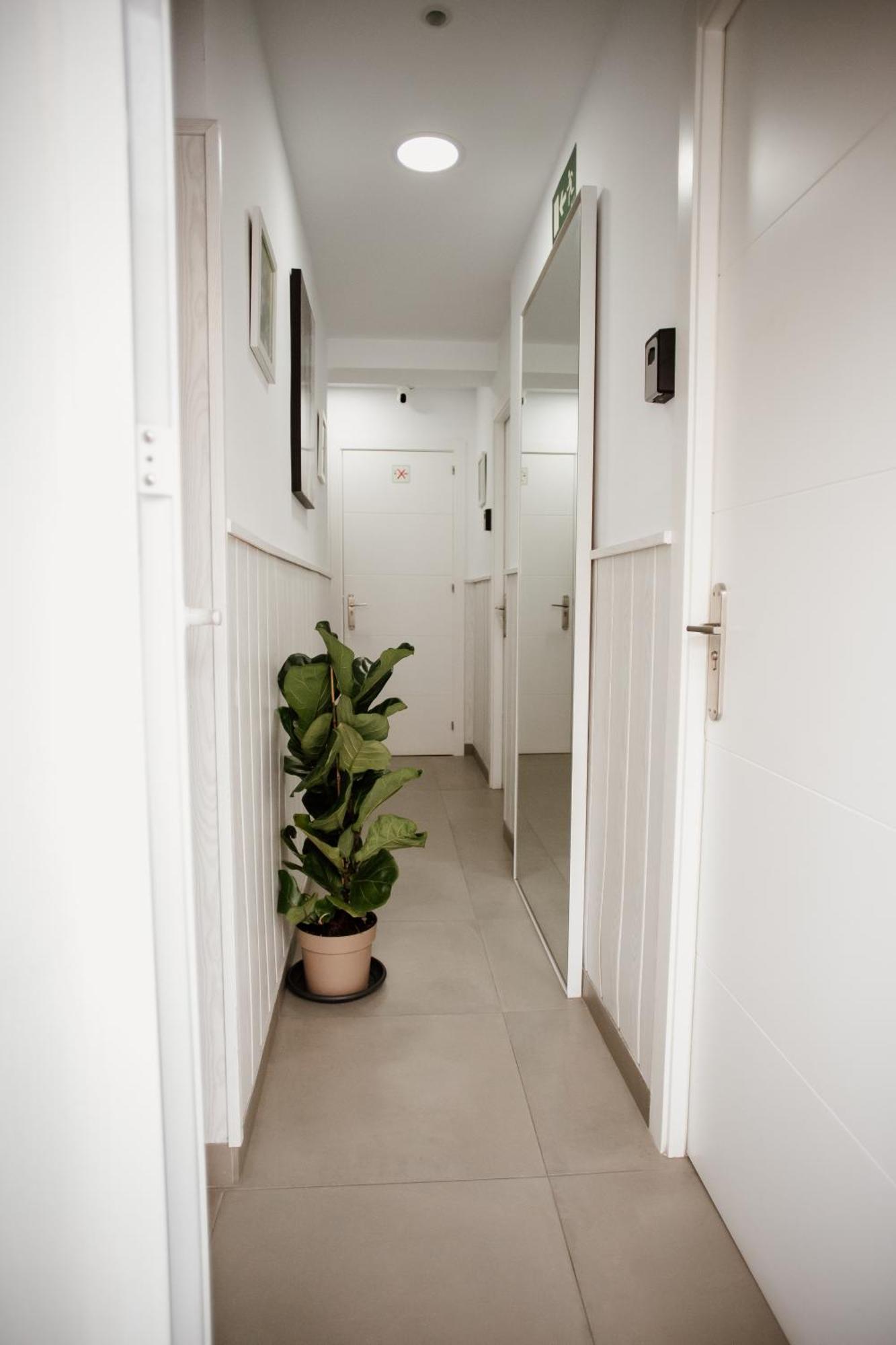 Apartamentos Turisticos Mastil 16 Málaga Dış mekan fotoğraf